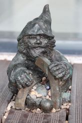 Agora (Agorek) dwarf, Wroclaw